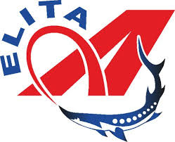 Логотип бренда A-Elita Логотип бренда A-Elita