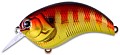 Deps Evoke 2.0 23