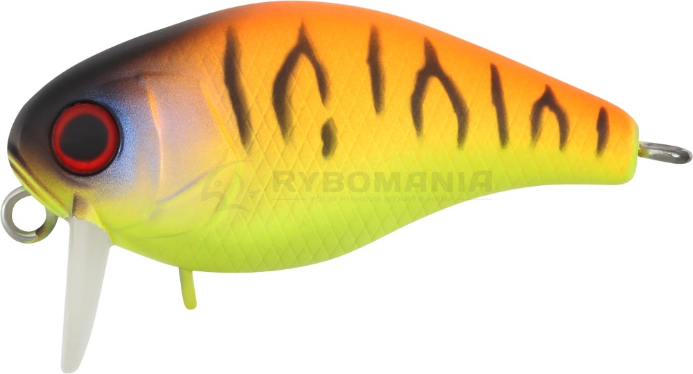  Chubby 38 SSR