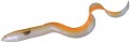 Savage Gear LB Real Eel 15cm 25-Albino Eel 50383-001