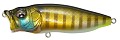 Megabass Pop Max PM wild gill