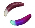 Jara Baits Bruchi 40 Бабл Гам #506